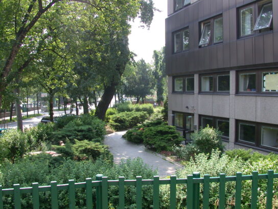 DSCN3749
